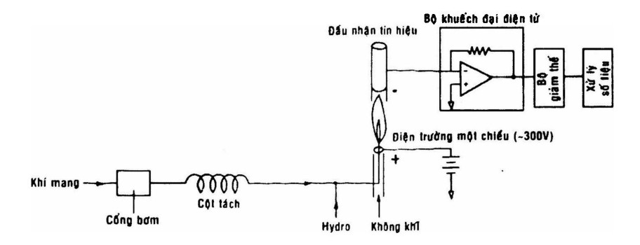 Sơ đồ nguyên lý hoạt động của Detector ion hóa ngọn lửa FID